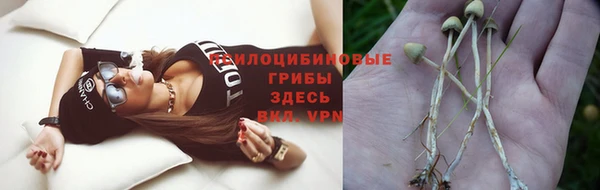 a pvp Аркадак